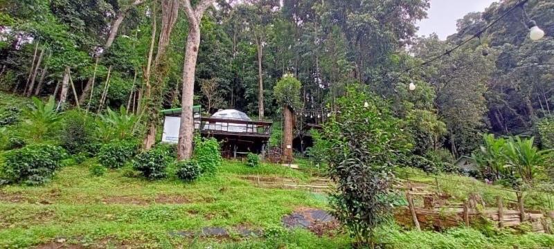 Отель เตนท์โดมชายดอย ดอยแม่แจ๋ม ลำปาง Ban Mai  Экстерьер фото
